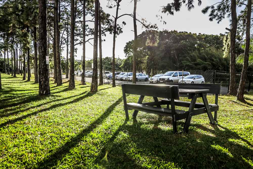 Film School Mauritius Dine In Bench